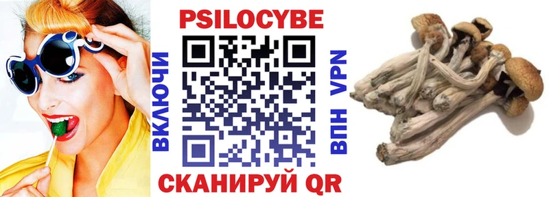Галлюциногенные грибы Psilocybe  Усть-Кут 